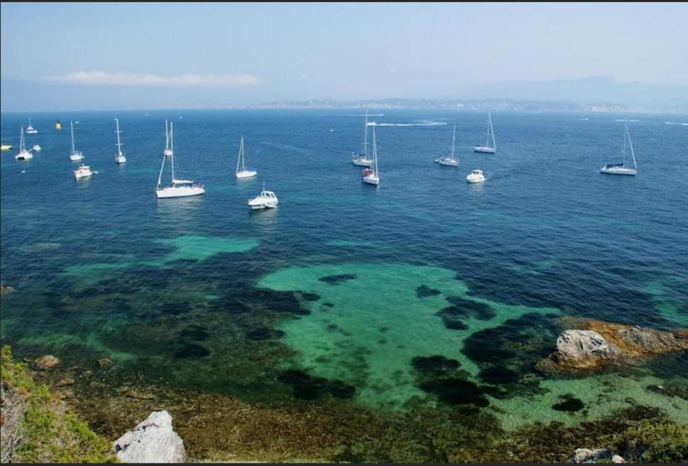 Chambrestudio Bord De Mer, Piscine Six-Fours-les-Plages Exterior foto